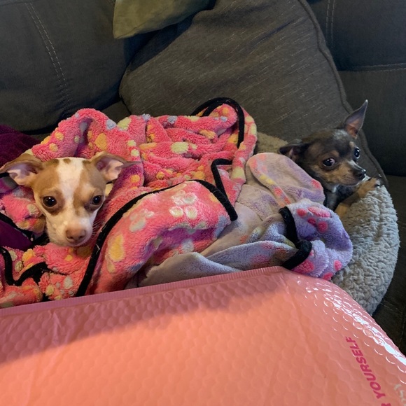 Meet your Posher, Kristen - Picture 1 of 1